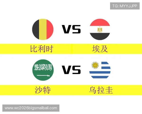 世界杯比利时对阵埃及比赛中两国国旗的设计特色及其象征意义深度解读