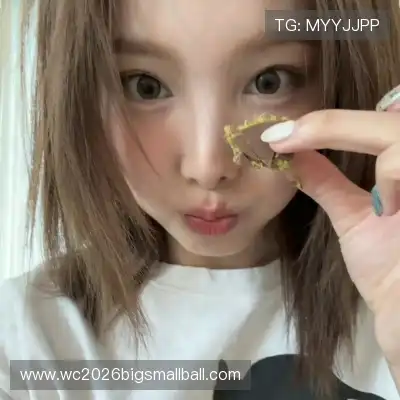梅戈漪